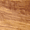 Olivo
